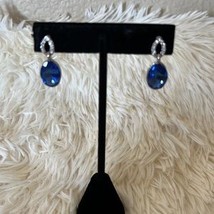 Sky Blue Dangle Earrings